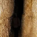 Straw Maze & Haunted Forest photo