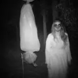 Straw Maze & Haunted Forest photo