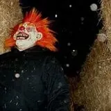 Straw Maze & Haunted Forest photo