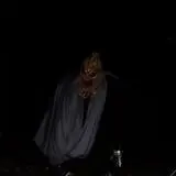 Straw Maze & Haunted Forest photo