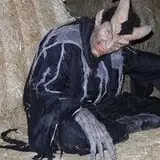Straw Maze & Haunted Forest photo