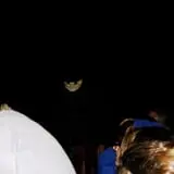 Straw Maze & Haunted Forest photo