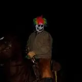 Straw Maze & Haunted Forest photo
