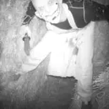Straw Maze & Haunted Forest photo