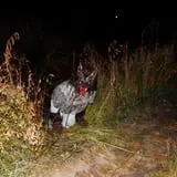 Straw Maze & Haunted Forest photo