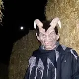 Straw Maze & Haunted Forest photo