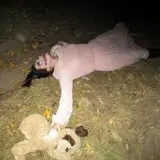 Straw Maze & Haunted Forest photo