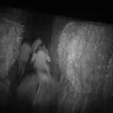 Straw Maze & Haunted Forest photo