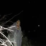 Straw Maze & Haunted Forest photo