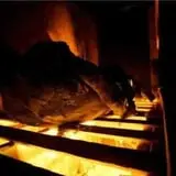 Burial Chamber Haunted Complex photo