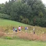 Morgan's Farm Market photo