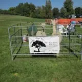 Morgan's Farm Market photo