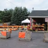Morgan's Farm Market photo