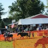 Morgan's Farm Market photo