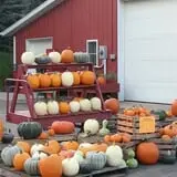 Morgan's Farm Market photo