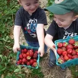 Morgan's Farm Market photo