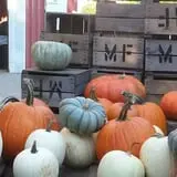Morgan's Farm Market photo