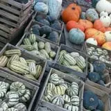 Morgan's Farm Market photo