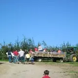 Morgan's Farm Market photo