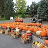 Morgan's Farm Market photo