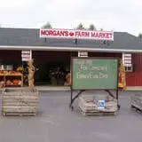 Morgan's Farm Market photo