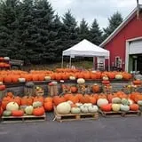 Morgan's Farm Market photo