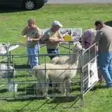 Morgan's Farm Market photo