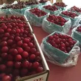 Morgan's Farm Market photo