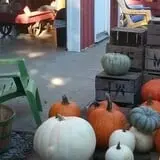 Morgan's Farm Market photo
