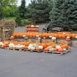 Morgan's Farm Market photo