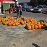 Morgan's Farm Market photo