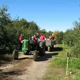 Morgan's Farm Market photo