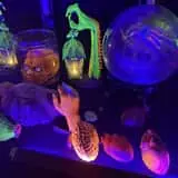 Cemetery of Fright photo