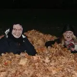 Hobgoblin Hikes photo