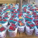 Greig Farm photo
