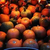 Greig Farm photo