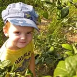 Greig Farm photo