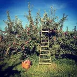 Greig Farm photo