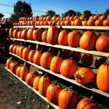 Greig Farm photo