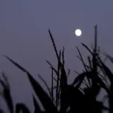 Heartland Country Haunted Maze photo