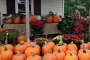 Bosserd Family Farm
