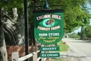 Ekonk Hill Turkey Farm's Corn Maze