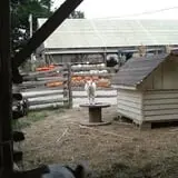 Beech Hill Farm & Ice Cream Barn Corn Mazes photo