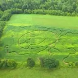 Beech Hill Farm & Ice Cream Barn Corn Mazes photo