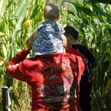Beech Hill Farm & Ice Cream Barn Corn Mazes photo