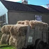 Beech Hill Farm & Ice Cream Barn Corn Mazes photo
