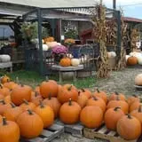 Beech Hill Farm & Ice Cream Barn Corn Mazes photo