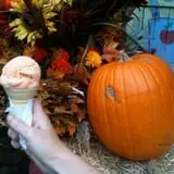 Beech Hill Farm & Ice Cream Barn Corn Mazes photo