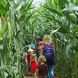 Beech Hill Farm & Ice Cream Barn Corn Mazes photo
