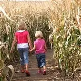 Beech Hill Farm & Ice Cream Barn Corn Mazes photo